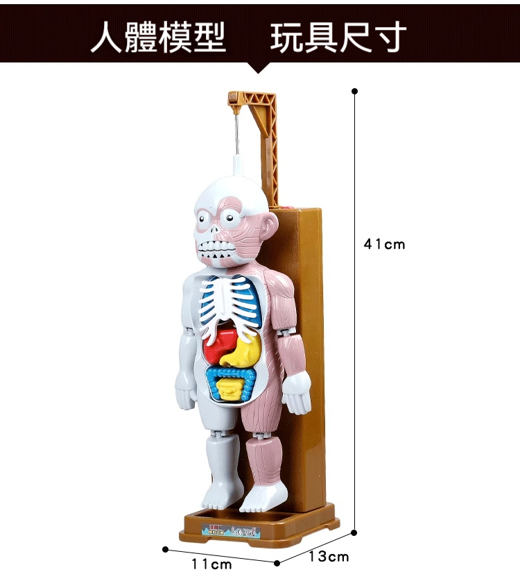 详情-17