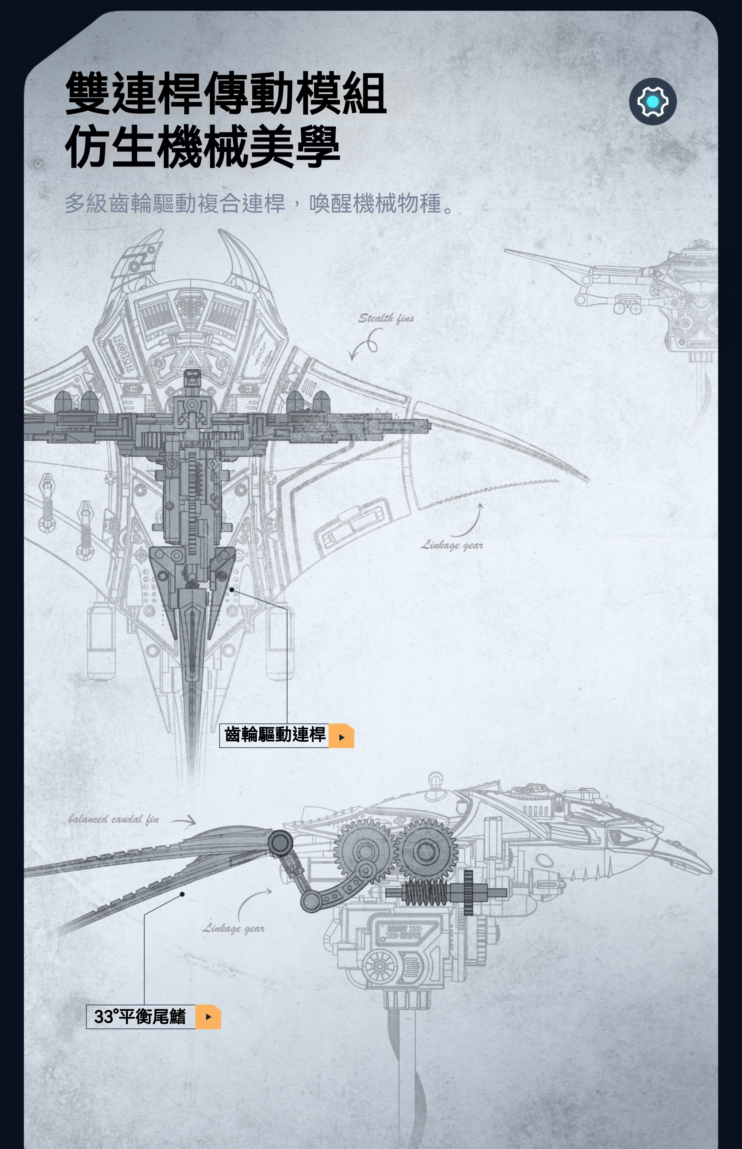 175255571396cf21