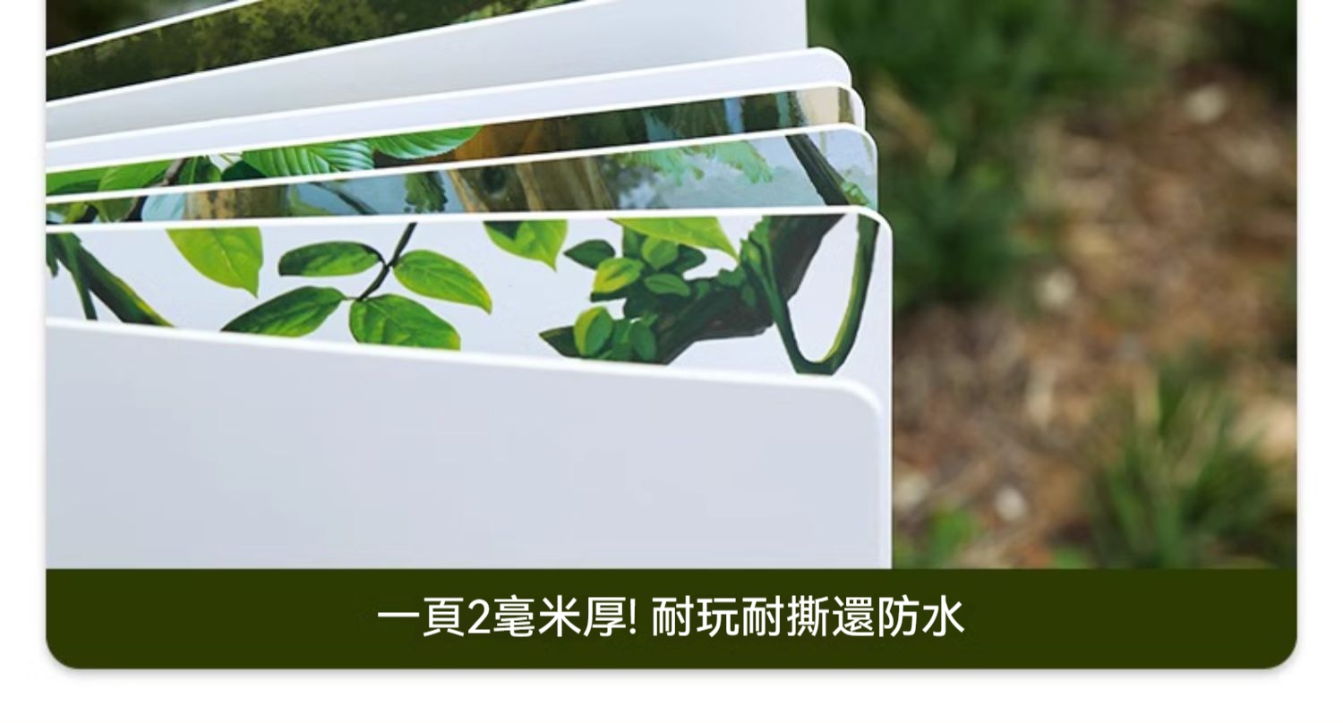 6e2a8b9681d889c1fc340bc2de6976b2