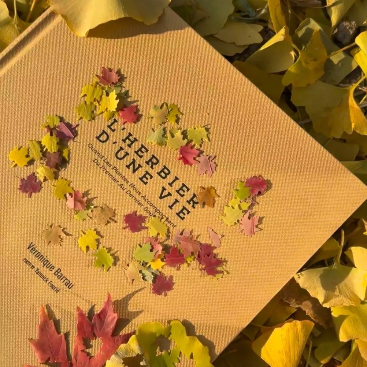 imgi_85_cf5dcd7b-a7b1-481e-a643-5623aad01d89