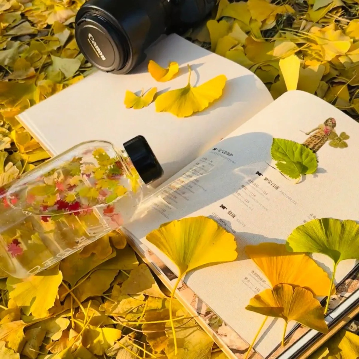 imgi_84_39f9bf46-5033-47be-967a-500a21c6dc0c