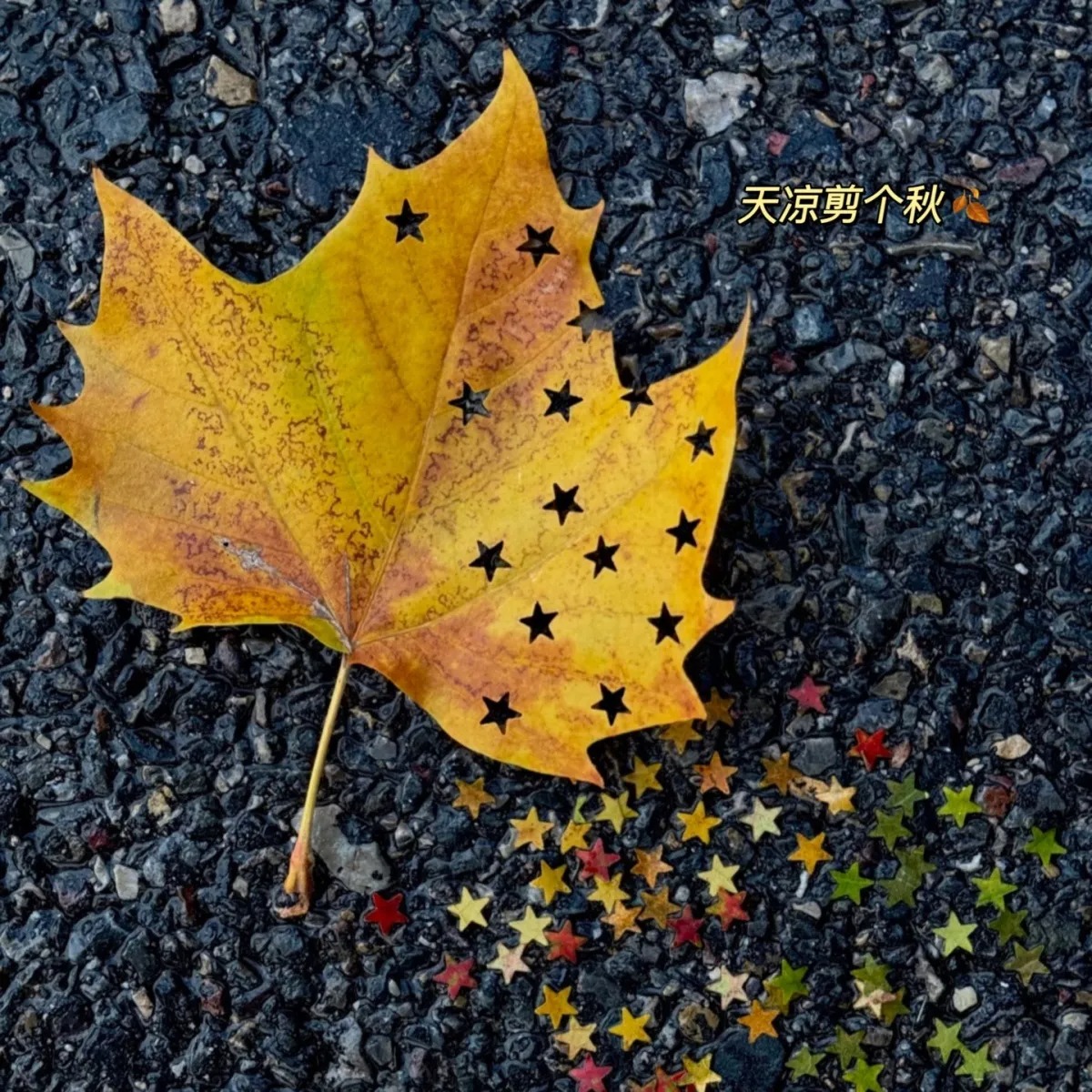 imgi_79_d6989517-ff43-4866-b796-8e7d6befe2f2