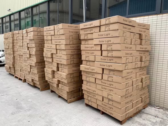 623408983_122103149457232852_9068276475056823247_n