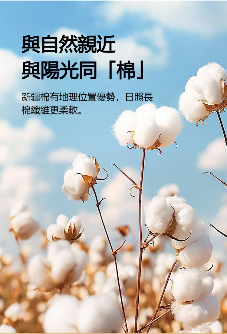 详情-08