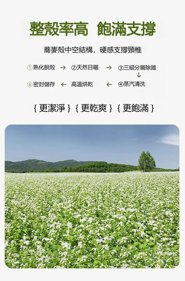 详情-10
